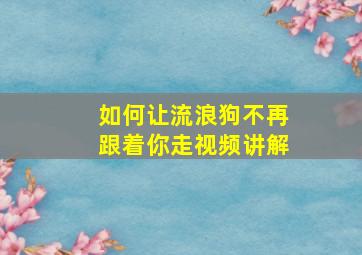 如何让流浪狗不再跟着你走视频讲解