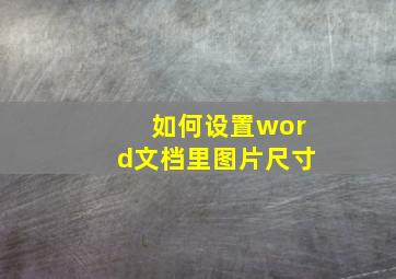 如何设置word文档里图片尺寸