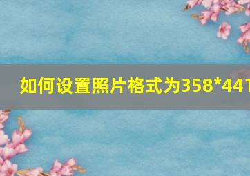 如何设置照片格式为358*441