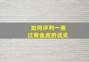 如何评判一条过背金龙的优劣