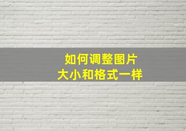 如何调整图片大小和格式一样