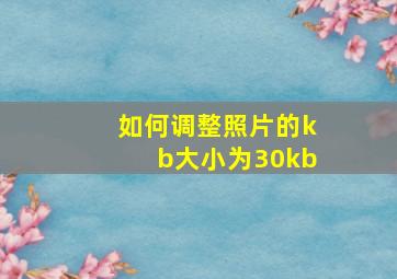 如何调整照片的kb大小为30kb