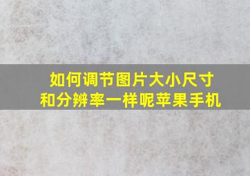 如何调节图片大小尺寸和分辨率一样呢苹果手机