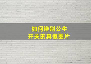 如何辨别公牛开关的真假图片