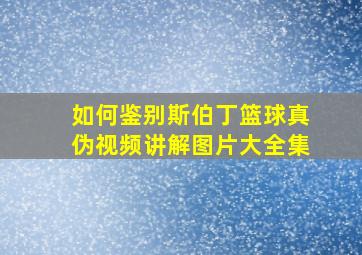 如何鉴别斯伯丁篮球真伪视频讲解图片大全集