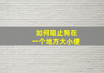 如何阻止狗在一个地方大小便