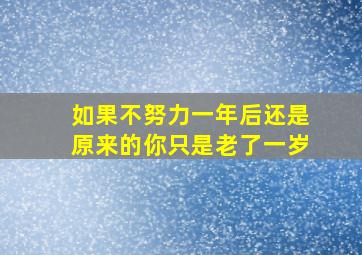 如果不努力一年后还是原来的你只是老了一岁