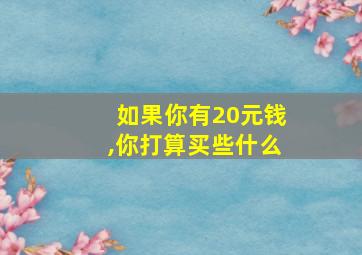 如果你有20元钱,你打算买些什么