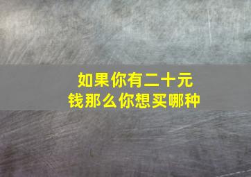 如果你有二十元钱那么你想买哪种