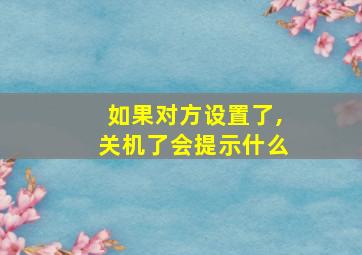 如果对方设置了,关机了会提示什么