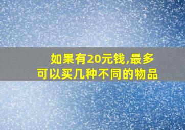 如果有20元钱,最多可以买几种不同的物品