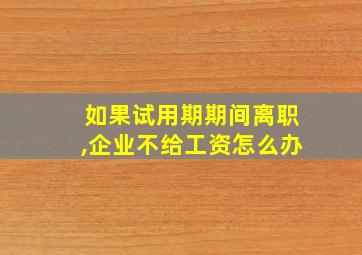 如果试用期期间离职,企业不给工资怎么办