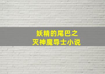 妖精的尾巴之灭神魔导士小说