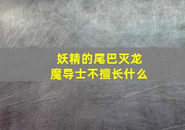 妖精的尾巴灭龙魔导士不擅长什么