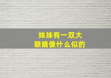 妹妹有一双大眼睛像什么似的