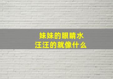 妹妹的眼睛水汪汪的就像什么