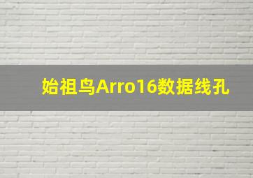 始祖鸟Arro16数据线孔