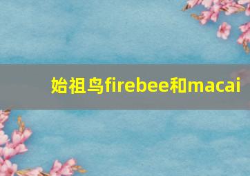 始祖鸟firebee和macai