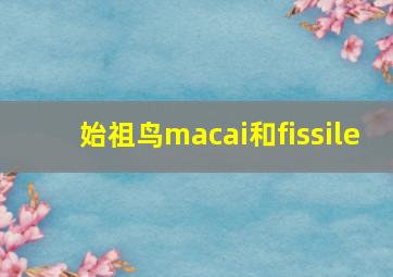 始祖鸟macai和fissile