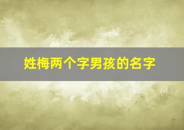 姓梅两个字男孩的名字