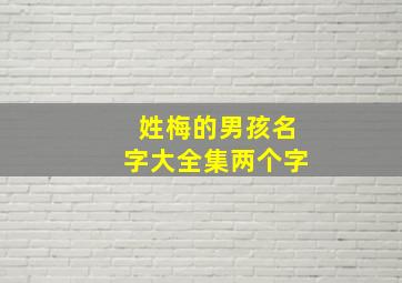 姓梅的男孩名字大全集两个字