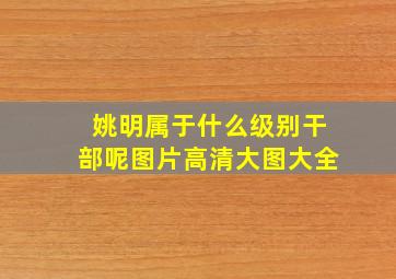 姚明属于什么级别干部呢图片高清大图大全