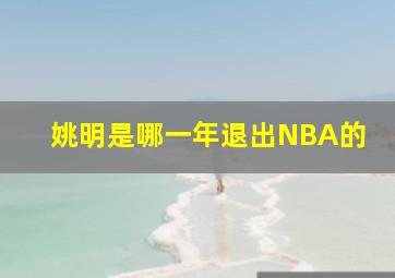 姚明是哪一年退出NBA的