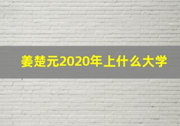 姜楚元2020年上什么大学