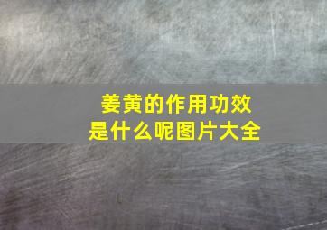 姜黄的作用功效是什么呢图片大全