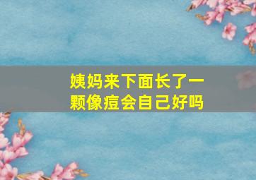 姨妈来下面长了一颗像痘会自己好吗