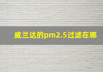 威兰达的pm2.5过滤在哪