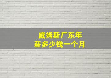 威姆斯广东年薪多少钱一个月