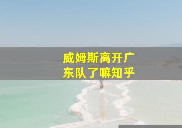 威姆斯离开广东队了嘛知乎