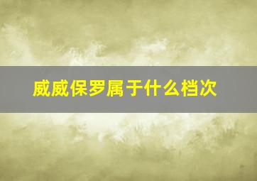 威威保罗属于什么档次