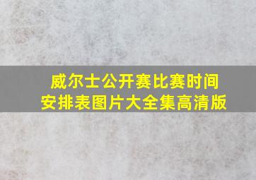 威尔士公开赛比赛时间安排表图片大全集高清版