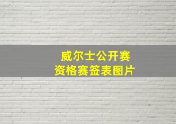 威尔士公开赛资格赛签表图片