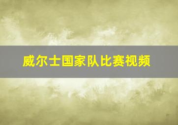 威尔士国家队比赛视频