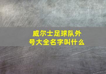 威尔士足球队外号大全名字叫什么