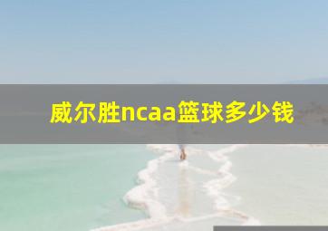 威尔胜ncaa篮球多少钱