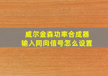 威尔金森功率合成器输入同向信号怎么设置