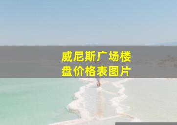 威尼斯广场楼盘价格表图片