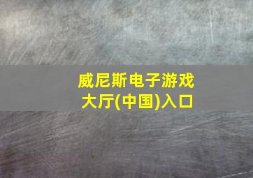 威尼斯电子游戏大厅(中国)入口