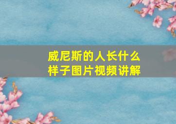 威尼斯的人长什么样子图片视频讲解