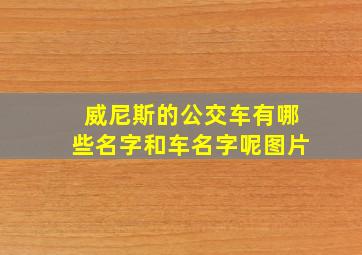 威尼斯的公交车有哪些名字和车名字呢图片