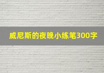 威尼斯的夜晚小练笔300字