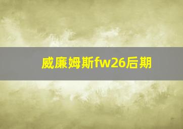 威廉姆斯fw26后期