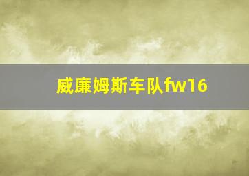 威廉姆斯车队fw16