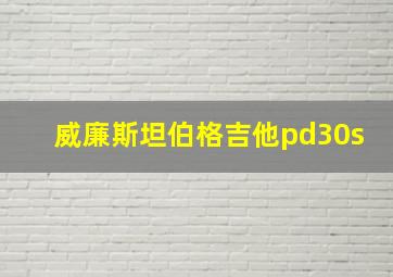 威廉斯坦伯格吉他pd30s