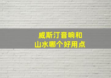 威斯汀音响和山水哪个好用点