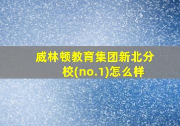 威林顿教育集团新北分校(no.1)怎么样